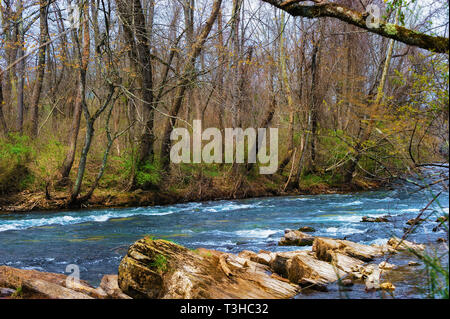 An den Ufern des Watauga River in Elizibabethton, Tennessee Stockfoto