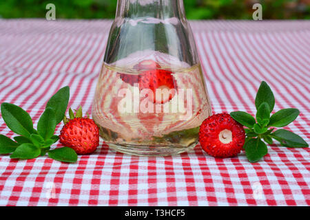 Hausgemachten Schnaps gewürzt mit frischen Erdbeeren und wilder Thymian in kleinen Glas auf roten und weißen Tischdecke, Ansicht schließen Stockfoto