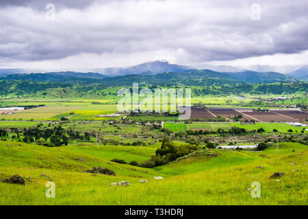 Luftaufnahme von landwirtschaftlichen Feldern und grünen Hügeln an bewölkten Frühling; Santa Cruz Mountains im Hintergrund, in der Bucht von San Francisco, San Jose, Ca Stockfoto