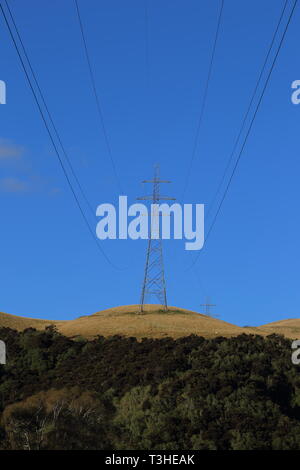 Stromleitungen in der Nähe von Balclutha, South Otago, Neuseeland Stockfoto