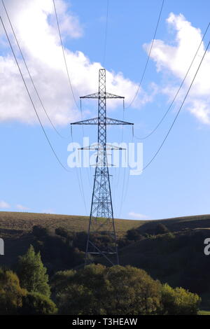 Stromleitungen in der Nähe von Balclutha, South Otago, Neuseeland Stockfoto