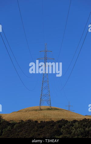 Stromleitungen in der Nähe von Balclutha, South Otago, Neuseeland Stockfoto