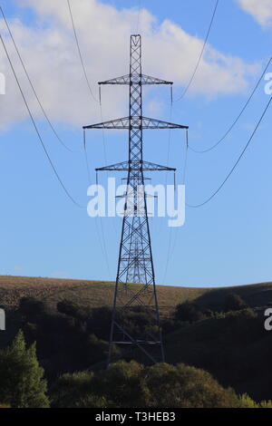 Stromleitungen in der Nähe von Balclutha, South Otago, Neuseeland Stockfoto