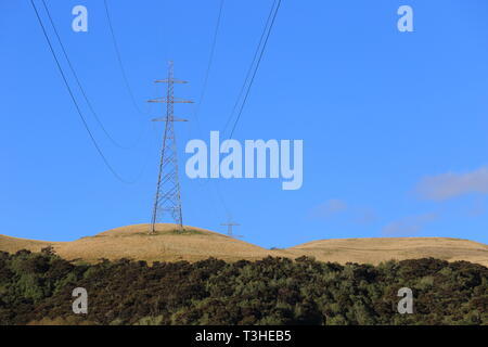 Stromleitungen in der Nähe von Balclutha, South Otago, Neuseeland Stockfoto