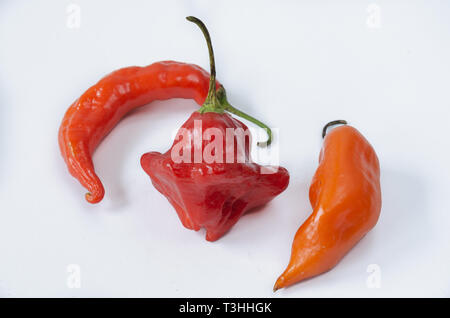 Drei Chilischoten auf weißem Hintergrund. Pfeffer. Chili Pfeffer. Stockfoto