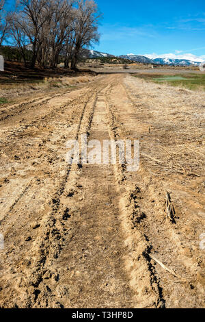 Schlammigen Spuren auf einer Ranch dirt road; Colorado; USA Stockfoto