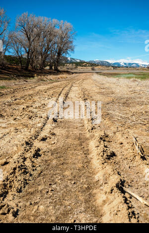 Schlammigen Spuren auf einer Ranch dirt road; Colorado; USA Stockfoto