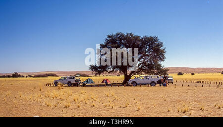 Lager unter einer Akazie in der Nähe der Düne 45 in Sesriem, Namibia. Stockfoto
