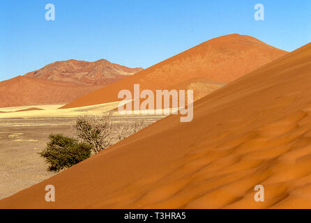 Panorama über die Dünen in der Nähe der berühmten Düne 45 in Sossusvlei, Namibia. Stockfoto