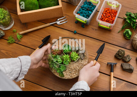 Frau, Master Class, florarium in Glas Glas Stockfoto