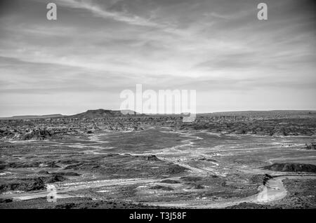 Blue Mesa innerhalb der Petrified Forest National Park Stockfoto