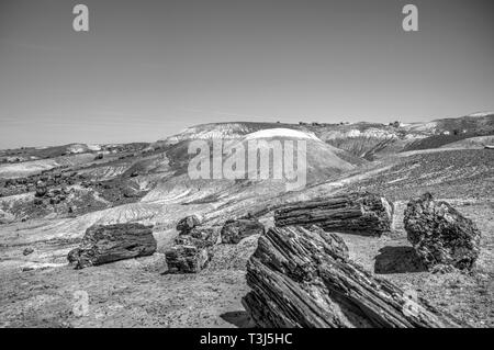 Blue Mesa innerhalb der Petrified Forest National Park Stockfoto