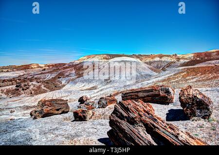 Blue Mesa innerhalb der Petrified Forest National Park Stockfoto