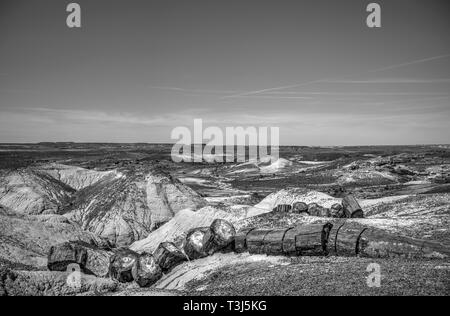 Blue Mesa innerhalb der Petrified Forest National Park Stockfoto