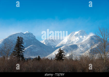 Winter in westlichen Alberta Kanada Stockfoto