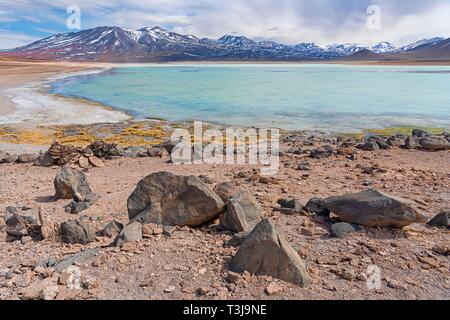 Laguna Blanca, 4.331 m Höhe, Nationalpark Andina Eduardo Abaro, Altiplano, Departamento Potosí, Bolivien Stockfoto