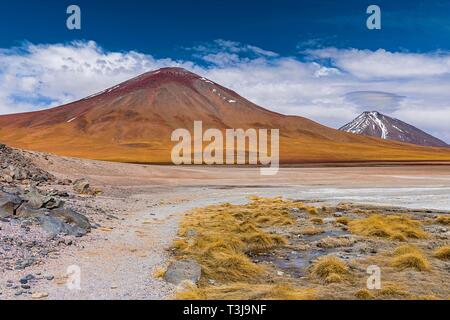 Am Rande der Laguna Blanca, 4,331 m Höhe, Andina Eduardo Abaro Nationalpark, Altiplano, Departamento Potosí, Bolivien Stockfoto