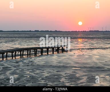 Sonnenuntergang über dem Wattenmeer bei Ebbe, dangast am Jadebusen, Friesland, Niedersachsen, Deutschland Stockfoto