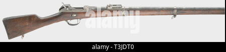 Dienstwaffen, Bayern, Werder Gewehr M 1869, Kaliber 11 mm, Nummer 64600, Additional-Rights - Clearance-Info - Not-Available Stockfoto