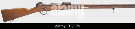 Dienstwaffen, Bayern, Werder Gewehr M 1869 nm, Kaliber 11 mm, Nummer 89, Additional-Rights - Clearance-Info - Not-Available Stockfoto
