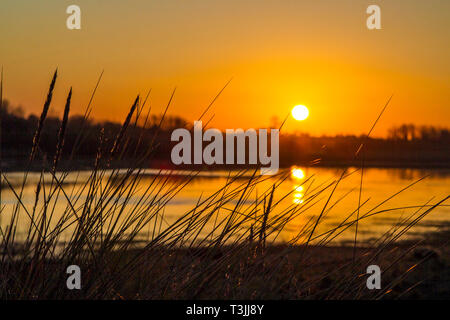 Southport, Merseyside, UK. 10. April 2019. UK Wetter: Schöner Sonnenaufgang. Ein sehr kühlen Start in den Morgen in einem schönen Sonnenaufgang wirft ihren wärmenden Strahlen über die RSPB Nature Reserve Nesting am Ufer des Southport Strand in Merseyside. Credit: cernan Elias/Alamy leben Nachrichten Stockfoto