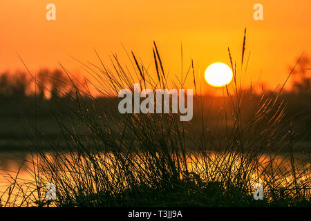 Southport, Merseyside, UK. 10. April 2019. UK Wetter: Schöner Sonnenaufgang. Ein sehr kühlen Start in den Morgen in einem schönen Sonnenaufgang wirft ihren wärmenden Strahlen über die RSPB Nature Reserve Nesting am Ufer des Southport Strand in Merseyside. Credit: cernan Elias/Alamy leben Nachrichten Stockfoto