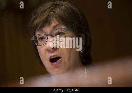 Washington DC, USA. 10 Apr, 2019. United States Senatorin Susan Collins (Republikaner von Maine) Fragen US Attorney General William S. Barr während der US-Senat Ausschusses für Mittel Unterausschuß auf Handel, Justiz, Wissenschaft und verwandten Organisationen auf dem Capitol Hill in Washington, DC am 10. April 2019 Credit: Stefani Reynolds/CNP/ZUMA Draht/Alamy leben Nachrichten Stockfoto