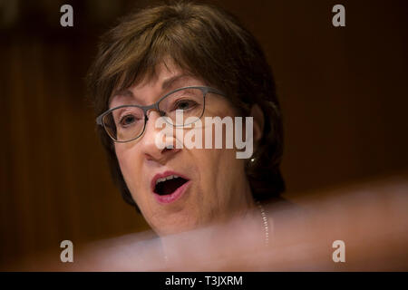 Washington DC, USA. 10 Apr, 2019. United States Senatorin Susan Collins (Republikaner von Maine) Fragen US Attorney General William S. Barr während der US-Senat Ausschusses für Mittel Unterausschuß auf Handel, Justiz, Wissenschaft und verwandten Organisationen auf dem Capitol Hill in Washington, DC am 10. April 2019. Credit: Stefani Reynolds/CNP/MediaPunch Credit: MediaPunch Inc/Alamy leben Nachrichten Stockfoto