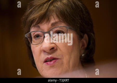 Washington DC, USA. 10 Apr, 2019. United States Senatorin Susan Collins (Republikaner von Maine) Fragen US Attorney General William S. Barr während der US-Senat Ausschusses für Mittel Unterausschuß auf Handel, Justiz, Wissenschaft und verwandten Organisationen auf dem Capitol Hill in Washington, DC am 10. April 2019. Credit: Stefani Reynolds/CNP/MediaPunch Credit: MediaPunch Inc/Alamy leben Nachrichten Stockfoto