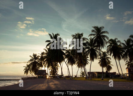Silhouette von Palmen bei Sonnenuntergang auf Icodub, Kuna Yala (GUNA). San Blas Inseln, Panama, Mittelamerika. Okt 2018 Stockfoto