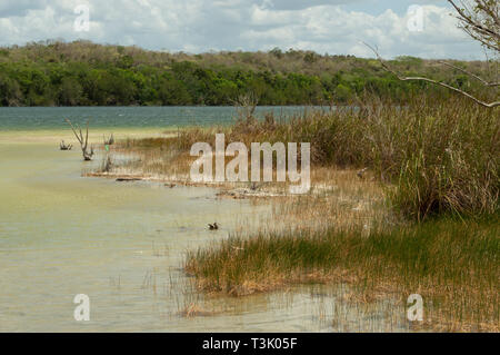 Auch als Chichancanab Chichankanab bekannt, ist eine uralte See in Quintana Roo, die das Geheimnis halten könnte zu geheimnisvollen Maya-kultur zusammenbrechen. Stockfoto