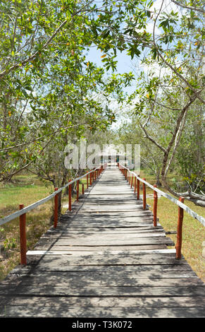 Auch als Chichancanab Chichankanab bekannt, ist eine uralte See in Quintana Roo, die das Geheimnis halten könnte zu geheimnisvollen Maya-kultur zusammenbrechen. Stockfoto