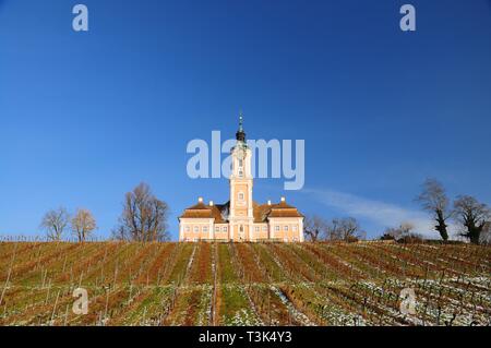 Basilika "Unserer Lieben Frau", wein Yard, birnau am Bodensee, Baden-Württemberg, Deutschland, Europa Stockfoto