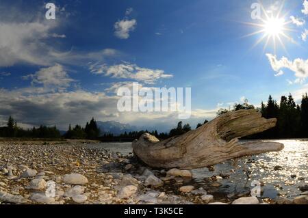 Kiesbank mit Treibholz an der Isar, in der Nähe von Wallgau, Werdenfelser Land, Bayern, Deutschland, Europa Stockfoto