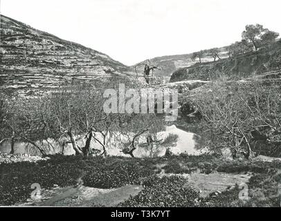 Der Teich Siloah, Jerusalem, Palästina, 1895. Schöpfer: W&S Ltd. Stockfoto