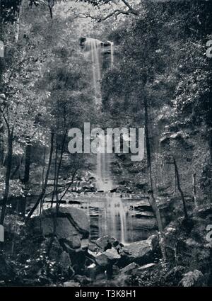 "Tal der Gewässer, Blue Mountains, c1900. Schöpfer: Unbekannt. Stockfoto