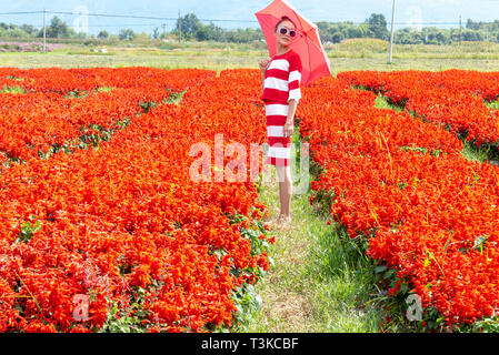 Lokale Touristen in einem Bereich der roten Blüten in Dali, Yunnan, China Stockfoto