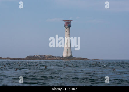 Das historische Wahrzeichen an der Küste von Pembrokeshire - Smalls lighthouse Stockfoto