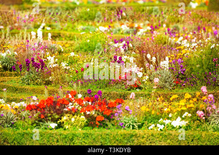 Schönen Blumenbeeten mit blühenden Blumen an die Versailles Gärten am sonnigen Tag, Frankreich Stockfoto