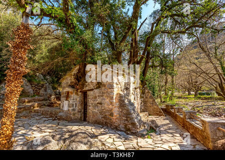 Agia Theodora wunder Kirche in Peloponnes, Griechenland. Bäume wachsen auf dem Dach ohne Wurzeln im Inneren Stockfoto