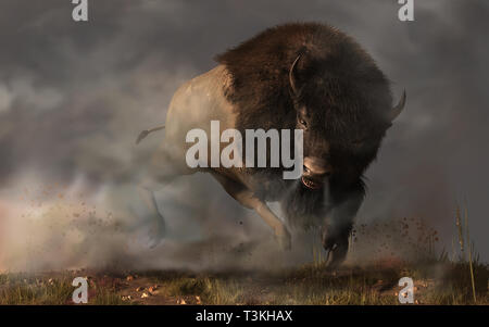 Auf einem dunklen und nebligen Prairie in den amerikanischen Westen, eine wütende Bison Bulle kickt Staub beim Aufladen. Besser aus dem Weg dieser wütenden Büffel. Stockfoto