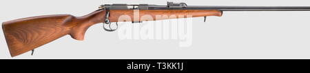 Die langen Arme, moderne Anlagen, Karabiner, Additional-Rights - Clearance-Info - Not-Available Stockfoto