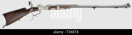 Die langen Arme, moderne Systeme, Gewehr, Additional-Rights - Clearance-Info - Not-Available Stockfoto