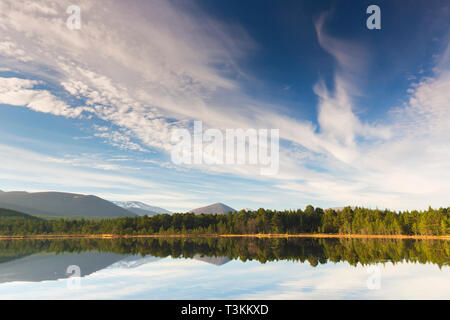 Loch Morlich und die Cairngorm Berge, Cairngorms National Park in der Nähe von Aviemore, Badenoch und Strathspey, Schottland, Großbritannien Stockfoto