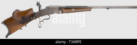 Die langen Arme, moderne Systeme, Gewehr, Additional-Rights - Clearance-Info - Not-Available Stockfoto