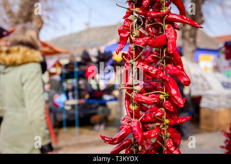 Bündel eingerichtet getrocknete rote Peperoni waren am Markt im Freien Platz gelegt. Stockfoto