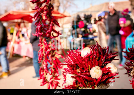 Bündel eingerichtet Knoblauch und getrocknete rote Peperoni waren am Markt im Freien Platz gelegt. Stockfoto