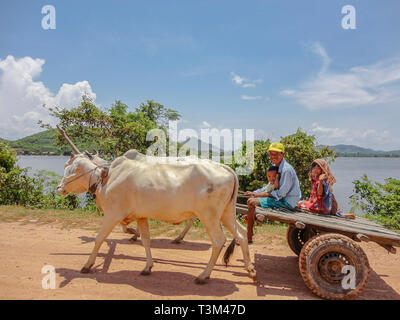 Vietnamesische Bauern und Kinder auf Ochsenkarren. Stockfoto