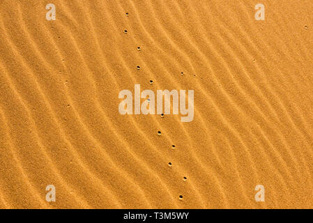 Sand Muster der Singenden Dünen, die nur Sand Dune in Kasachstan, Nationalpark Altyn-Emel, Kasachstan Stockfoto