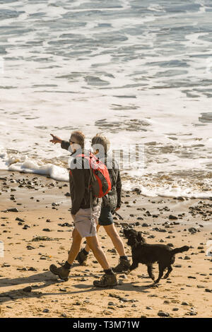 LANGLAND BAY, Gower Peninsula, WALES - Februar 2019: Mann und Frau zu Fuß am Strand entlang mit ihren Hund an Langland Bay in Wales. Stockfoto